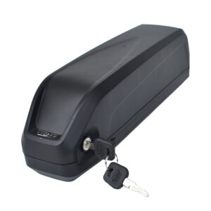 24V/36V/48V Bottle Style Lithium-ion Battery Pack with DALY BMS & EV Grade Cells